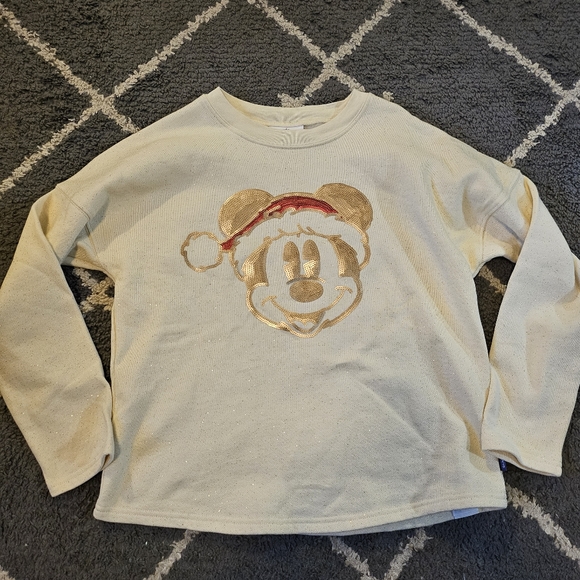 Disney Other - Disneyland Christmas Spirit Jersey